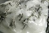 Native Silver in Calcite - Morocco #362740-2